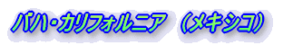 �o�n�E�J���t�H���j�A �i���L�V�R�j