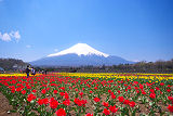 山梨ひまなび