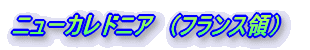 �j���[�J���h�j�A�@�i�t�����X�́j