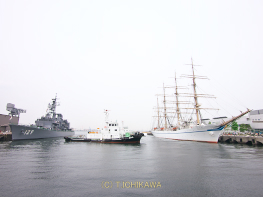 ヨコハマ開港祭