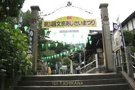 文京あじさい祭り