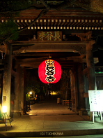 鎌倉長谷寺紅葉ライトアップ