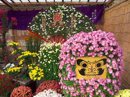 亀戸天神社菊まつり